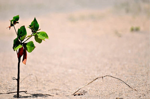 喝茶叶的好处与坏处-喝茶叶的好处与坏处有哪些