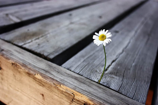 丁字旁的字有哪些-丁字旁的字还有哪些