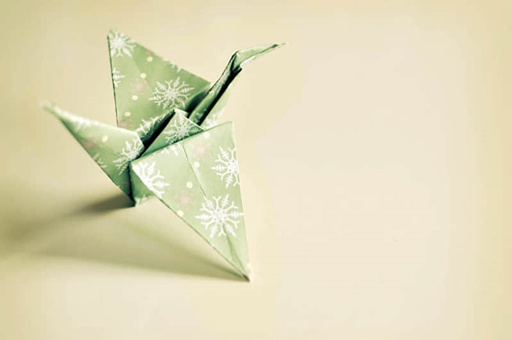 马犬哪个月长的最快