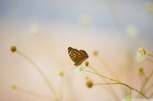 眼线笔忘记盖好干了怎么办-眼线笔忘了盖盖子笔头干了怎么办