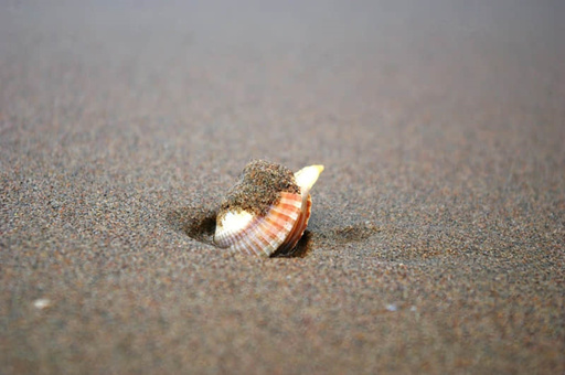 天津全运会开多久-天津全运会开多少届了