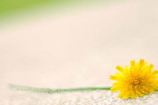 皖z是哪里的车牌-皖是哪儿的车