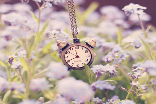 吃鹿茸有什么好处-鹿茸治什么病的效果好