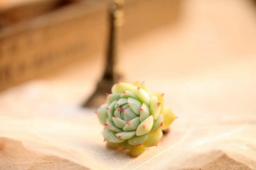 矫正牙齿要多久-矫正牙齿要多久时间才能完成