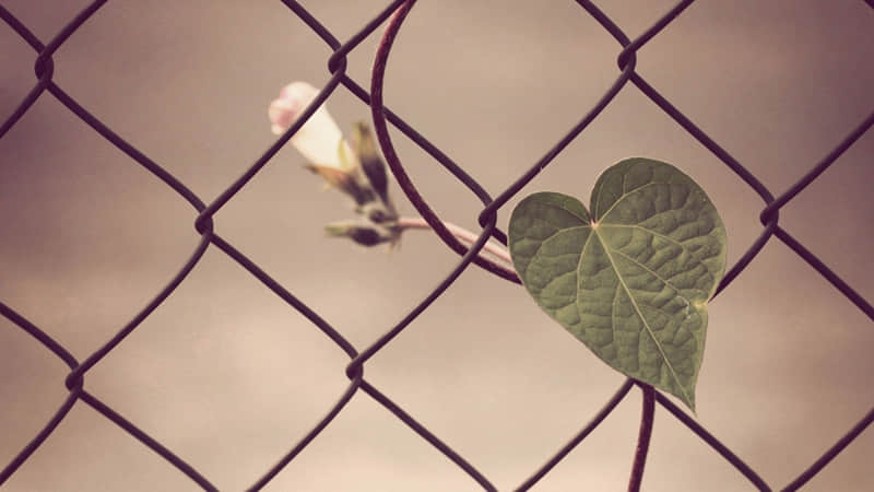 十里铺属于哪个区-十里铺算哪个区