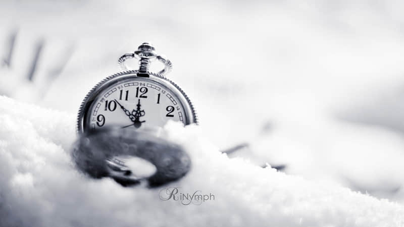 鸽子汤为什么不能放姜-鸽子汤为什么不能喝