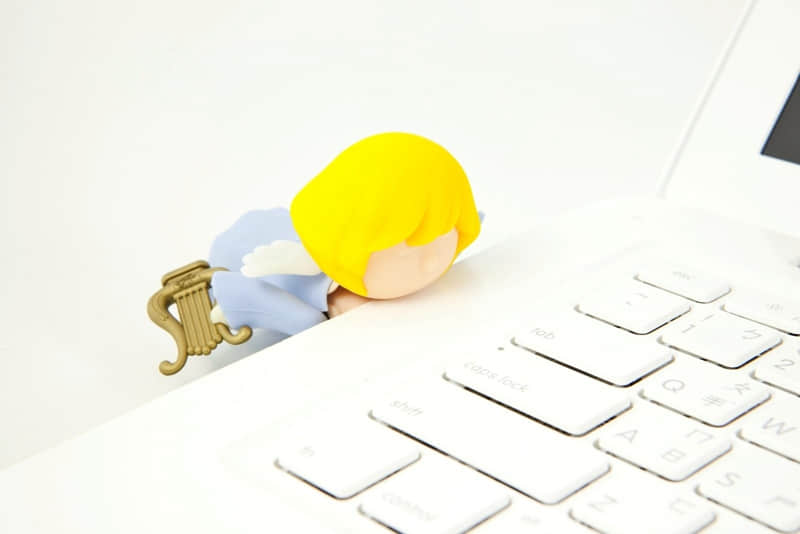 平顶山哪里有樱桃园-平顶山哪里有樱桃树