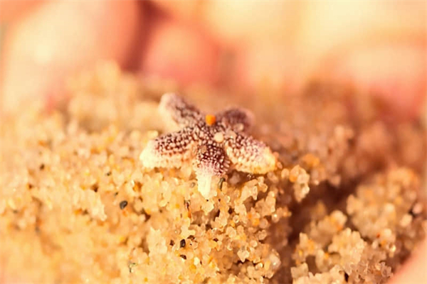 心理医生去哪里看-哪家心理医生最好