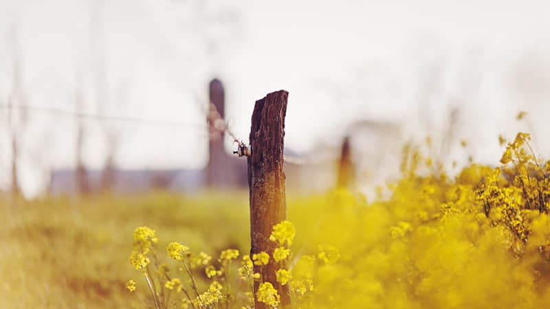 河北省河间市属于哪个市-河北省河间市属于沧州市吗