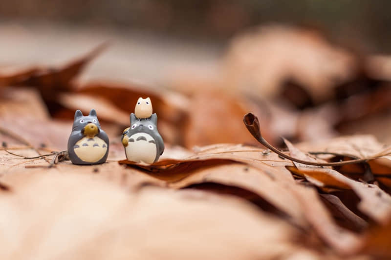 婴儿黄疸高怎么办-婴儿黄疸高怎么办要怎么降下来