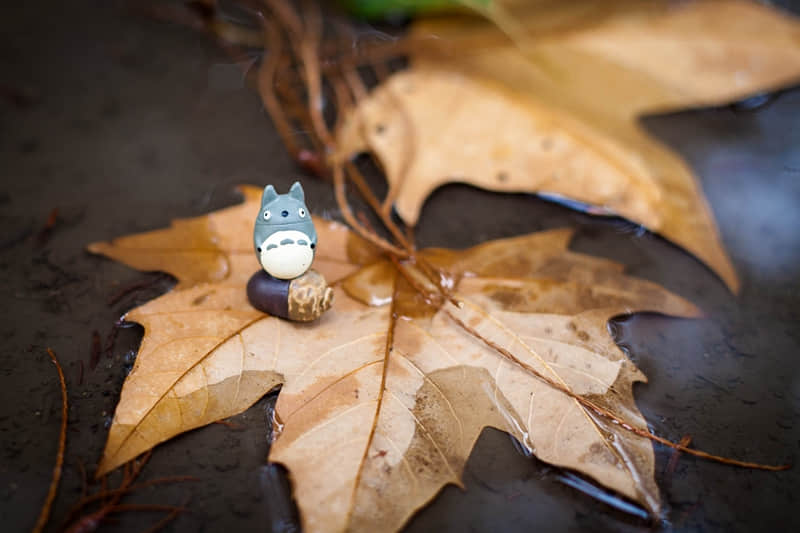 方的偏旁有哪些字-方的偏旁还有啥