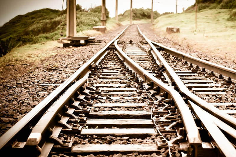 小黄瓜条牛肉是哪个部位-牛肉的小黄瓜条的营养价值