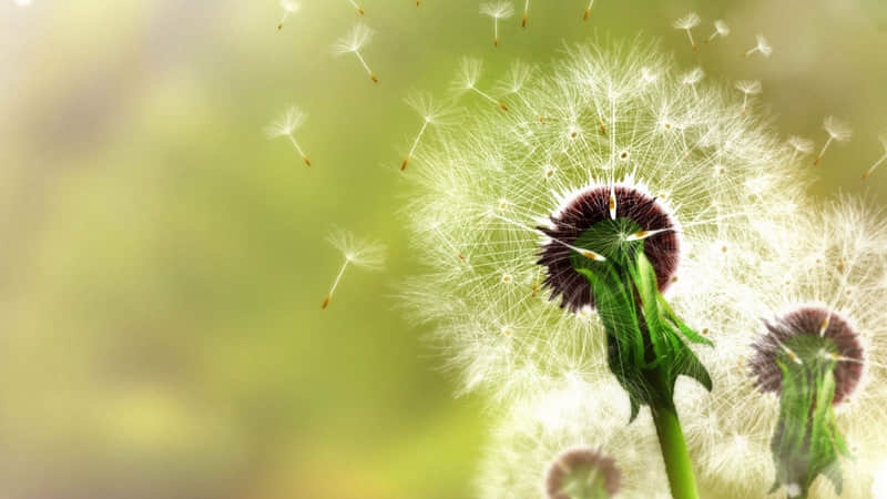 眼睛睁不开怎么办-眼睛睁不开怎么治疗