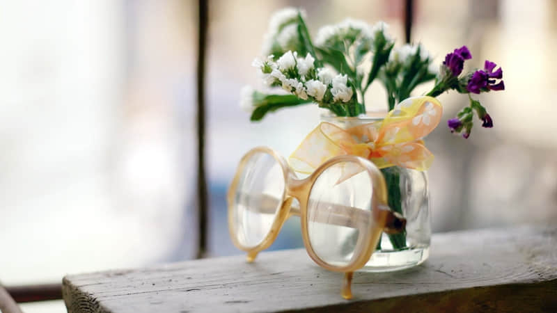 山东动物园哪个最好-山东省内动物园