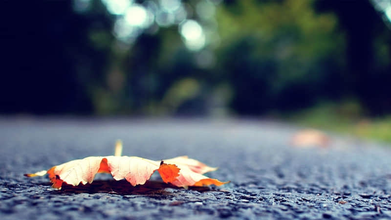 河南原阳县属于哪个市-河南省原阳县属于哪个区