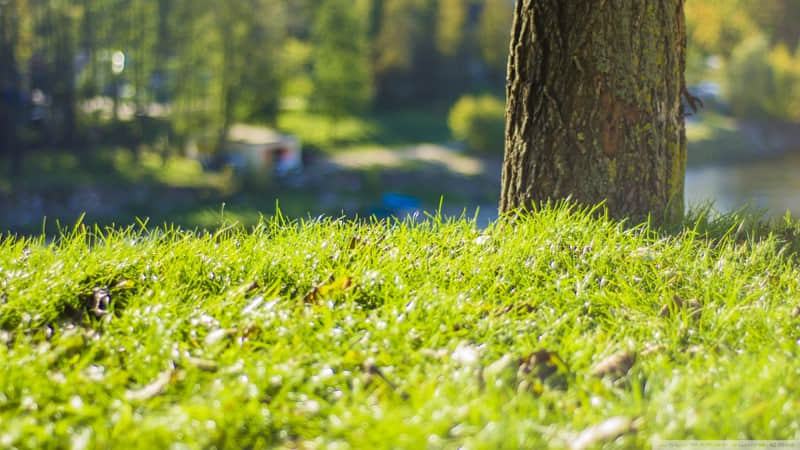 会厌炎一般多久能好-会厌炎一般要多久恢复