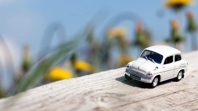 富含钙的食物有哪些-肉类钙含量高的食物