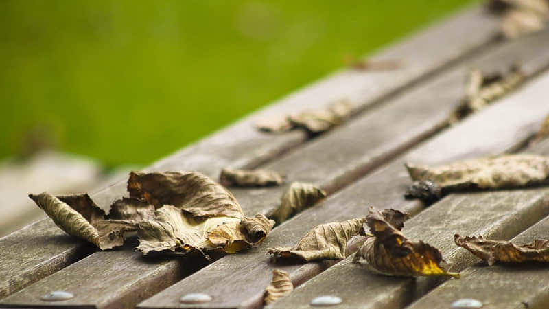 哪里能学做蛋糕-哪里能学做蛋糕技术