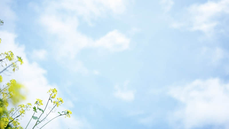 如何让心静下来 如何让心静下来