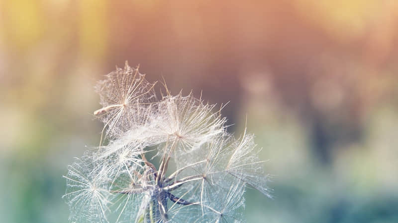 剑姬哪个皮肤手感好-剑姬哪个皮肤手感最好