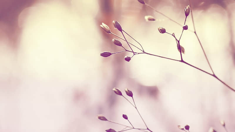 江苏蹦极的地方在哪里-江苏蹦极的地方有哪些