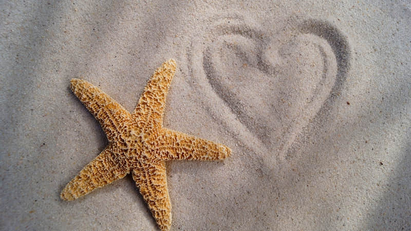 主播连麦游戏有哪些-主播连麦玩的游戏