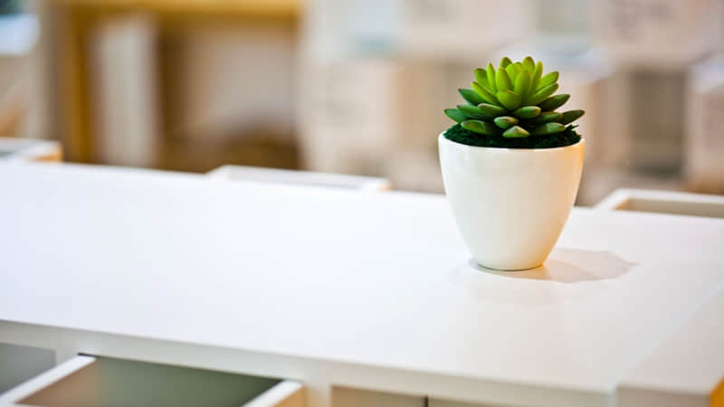 儿童吃鹅蛋有什么好处-儿童吃鹅蛋能长高吗