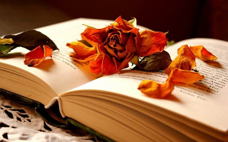 檐组词和拼音（檐组词和拼音和偏旁怎么写的呀）