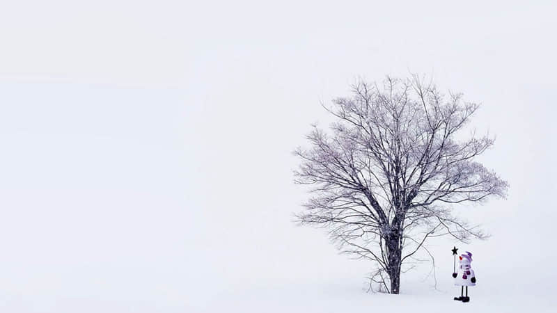 尿酸高导致脚肿怎么办-尿酸高导致脚肿贴膏药有用吗