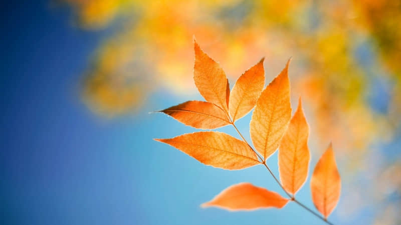 民用对讲机（民用对讲机频率范围）