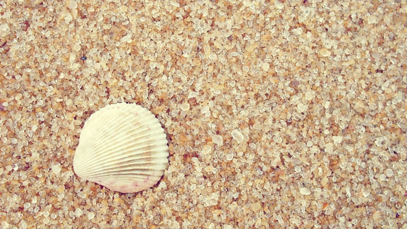 马桶老是堵怎么办-马桶经常堵