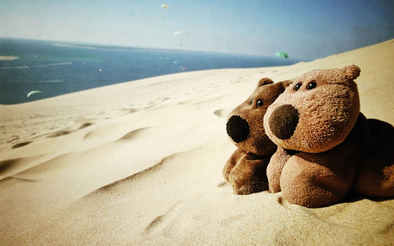 萧山家具市场在哪里-萧山 家具