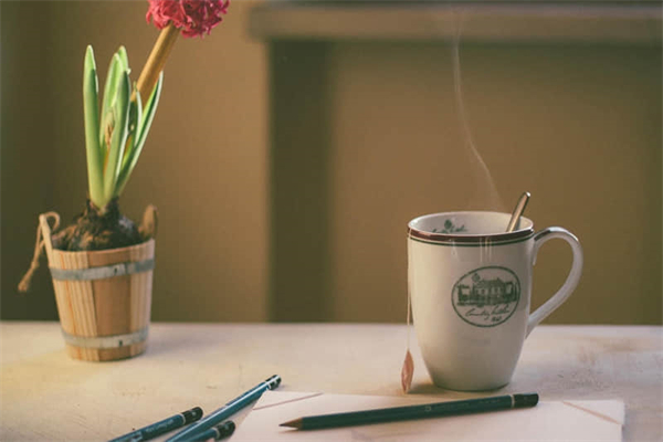 虎皮鹦鹉不吃东西怎么办-虎皮鹦鹉不吃东西的原因