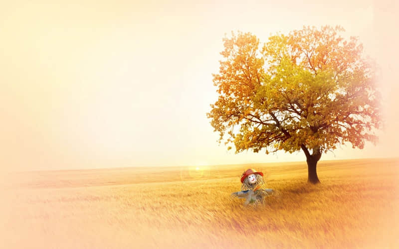 做完宫腹腔镜后如何避免粘连-做完宫腹腔镜后肚子一直胀气怎么办