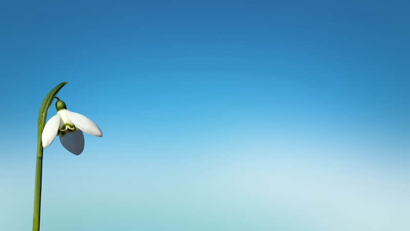 一般口红的保质期多久-一般口红的保质期