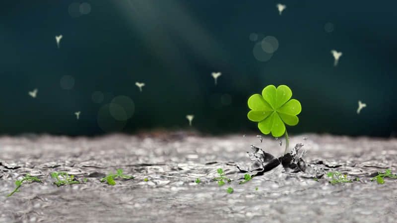 学理发哪个学校好-学理发哪个学校好一点