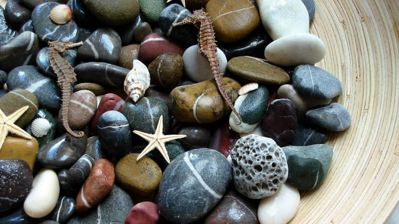 秋季育儿注意些什么-秋季育儿小常识幼儿园