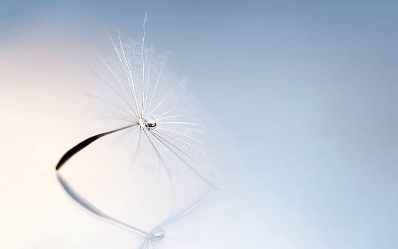 哪些人做不了试管婴儿-什么样的人不能试管婴儿