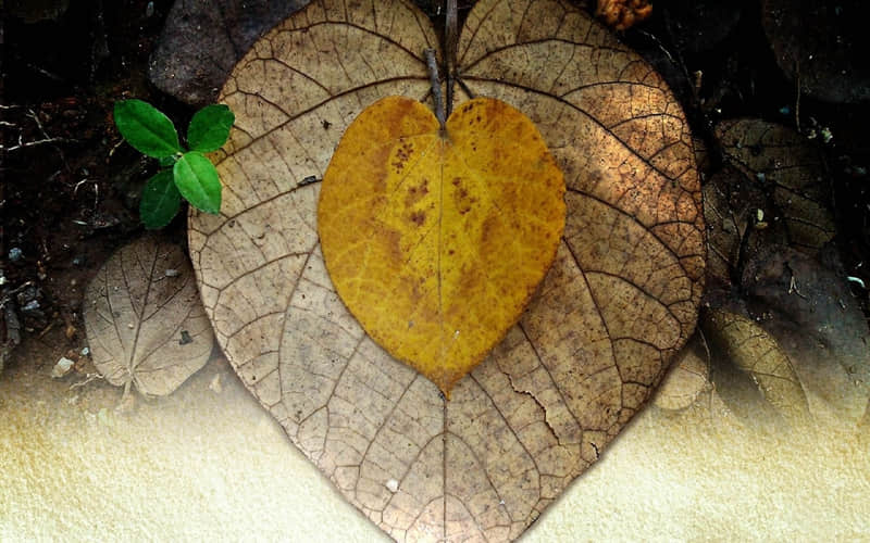 刘伯温故居在哪里-刘伯温故居在哪个县境内