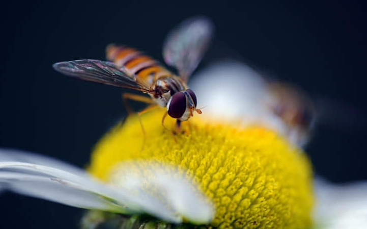 耳鸣的症状有哪些-耳鸣有什么症状表现