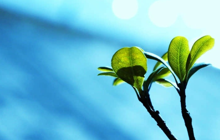 肝在人体哪个部位-肝脏负责什么功能