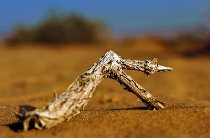 为什么宽带连接了上不了网-为什么宽带连接一直断开