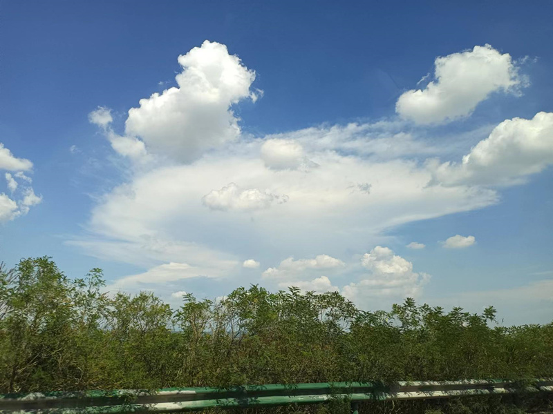 如何管理奶茶店的员工-如何管理奶茶店