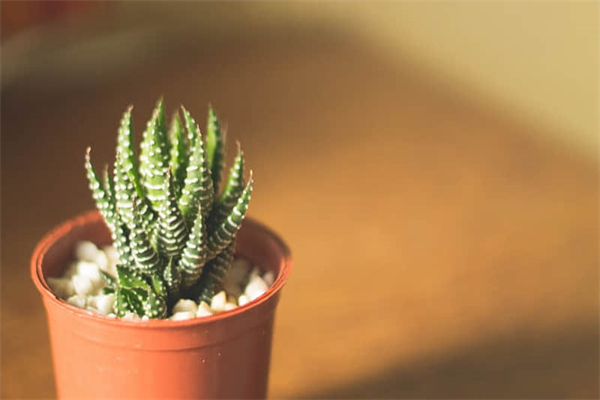 班主任如何管理 乱班-班主任如何管理纪律差的班级