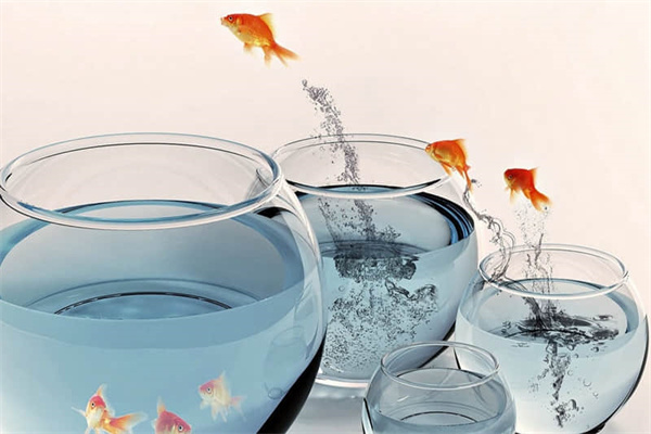 牛栏山产地哪里-牛栏山什么地方产的