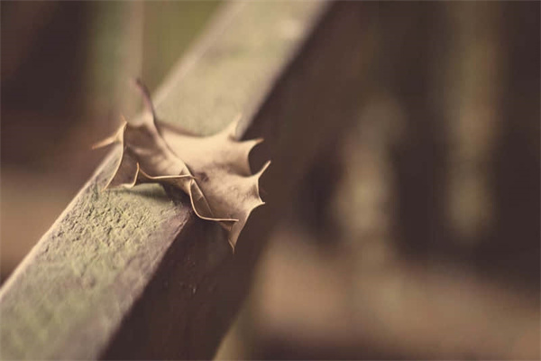 虚什么待的成语有哪些-虚什么什么待成语大全四个字