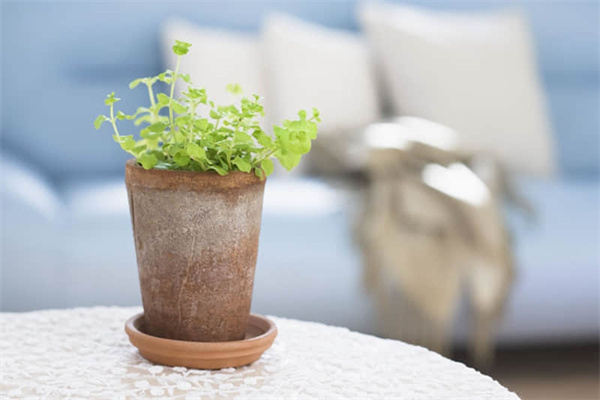 男人为什么喜欢胸大的女人-男人为什么喜欢女人