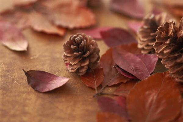 我睡不着怎么办-我睡不着咋办