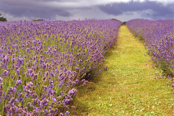十种记牌方法图解-最简单的记牌方法 十种记牌方法图解-最简单的记牌方法