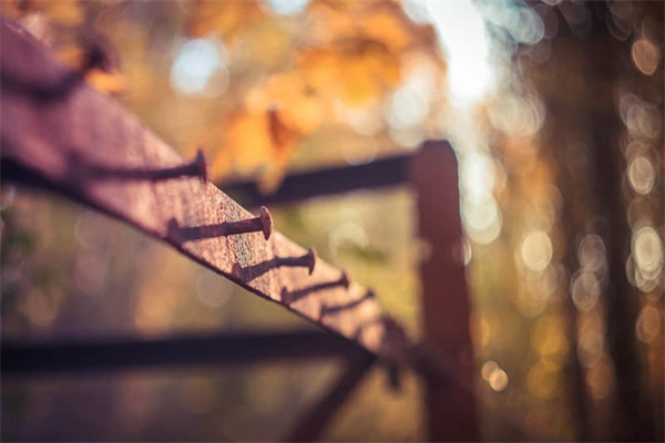 胎儿绕颈一周怎么办-胎儿绕颈一周怎样改善